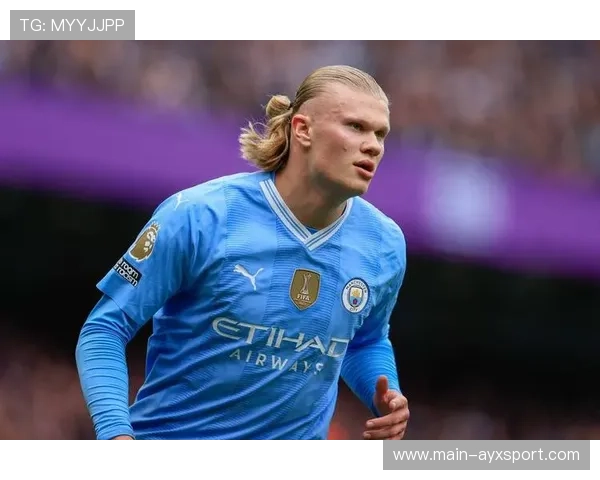 哈兰德终结效率持续稳定 哈兰德终结效率持续稳定