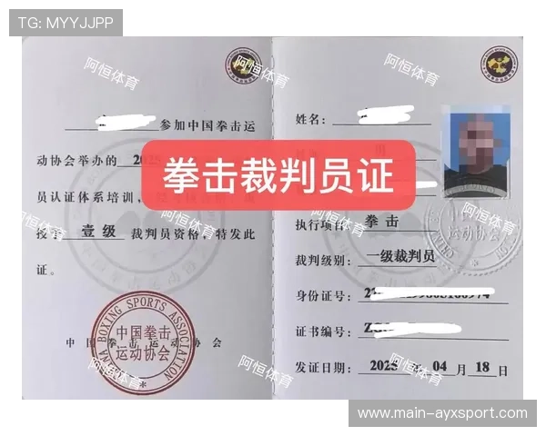 国际拳击裁判职业发展路径与晋升名单公布，拳击手裁判